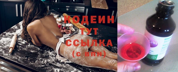 гашик Аркадак