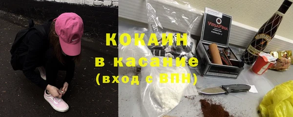 гашик Аркадак